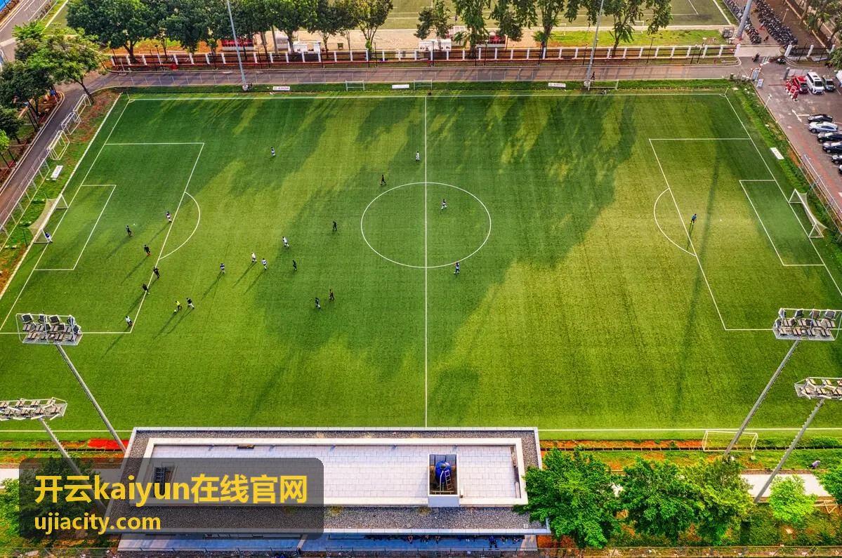 开云kaiyun在线官网客户端界面预览背景